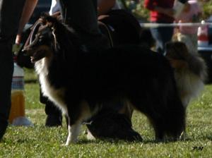 CAIR ELANOR z Lorienu Moravia