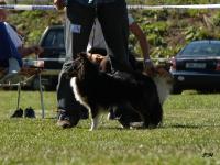 CAIR ELANOR z Lorienu Moravia