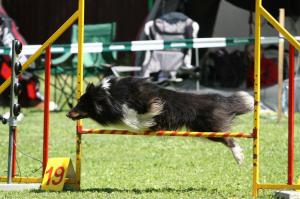 CALENZANO z Černé hlásky