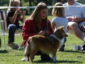 CAMÉLIE ze Zlaté hvězdy