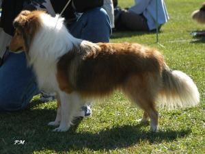 Candy ze Skalní vyhlídky