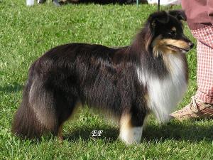 CASPER z Dřevěné chaloupky