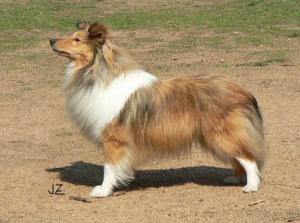 Cindy Stříbrné doly