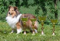 Cindy Stříbrné doly