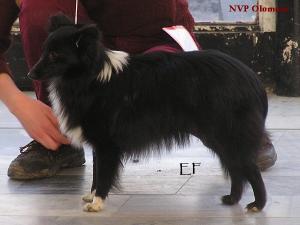 CLASSICA z Ďáblovy studánky