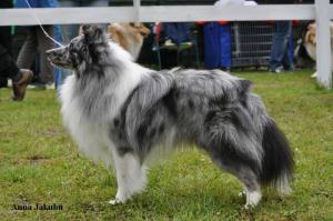 COCTAIL z Ďáblovy studánky