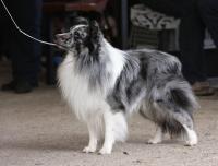 COCTAIL z Ďáblovy studánky