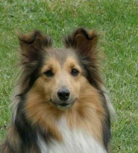 COFFEE GOLD Ria-Henria