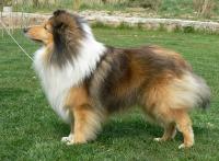 Craven ze Skalní vyhlídky