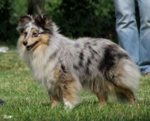 DARKNESS BLUE z Říše fantazie