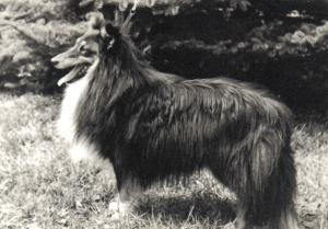 DARLING z Ďáblovy studánky CS