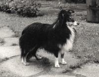 DARLING z Ďáblovy studánky CS