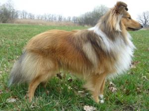 DASTY Stříbrné doly