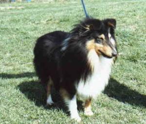 Dawnville Just Anotha Tri