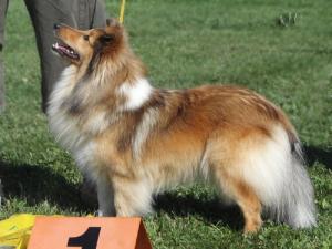 Deli z Josefovské pevnosti