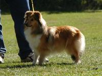 Deli z Josefovské pevnosti