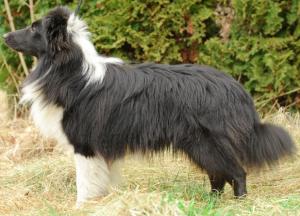 Deliquent z Ďáblovy studánky