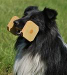 Deliquent z Ďáblovy studánky