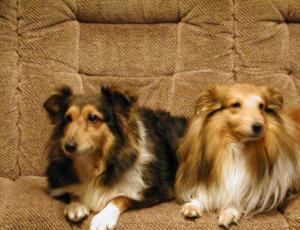 DENISA Hlinecký svah CS