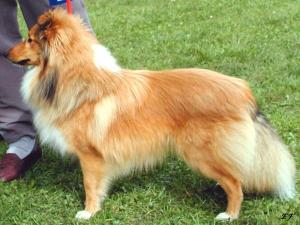 DENNY z Josefovské pevnosti