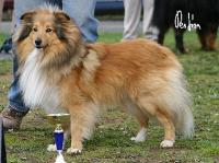 DENNY z Josefovské pevnosti