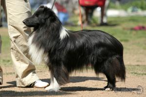 Desperado z Ďáblovy studánky
