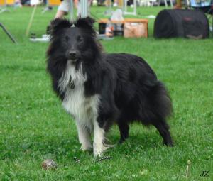 DEVIL'S DOLL z Ďáblovy studánky