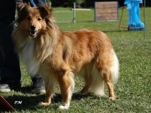 DIANKA z Josefovské pevnosti