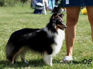 DIRAEN DORI z Lorienu Moravia