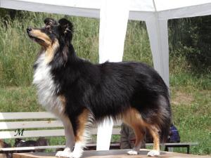 DOLORES ze Souhvězdí Orionu