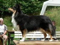 DOLORES ze Souhvězdí Orionu