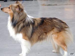 DOUBLE DRINK z Ďáblovy studánky