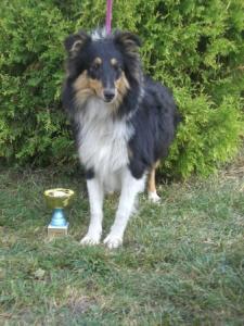 Dulsinea ze Souhvězdí Orionu