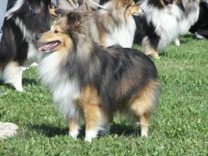 EBEN z Hanácké pláně