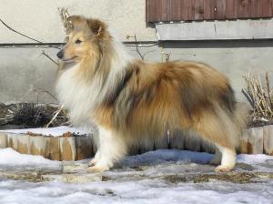 Edglonian Devils Advocate