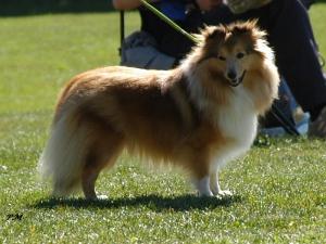 ELLA FITZGERALD Smaal Kim