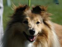 ELLA FITZGERALD Smaal Kim