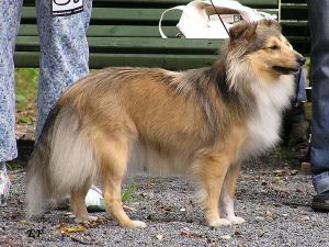 ELLIE ze Skalní vyhlídky