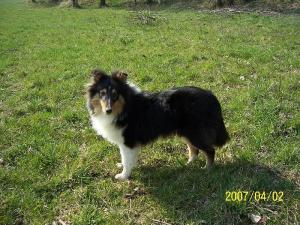 ELLIOT ze Souhvězdí Orionu