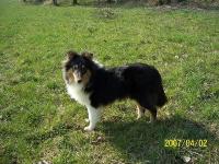 ELLIOT ze Souhvězdí Orionu