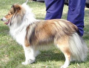 ELSA Želečské vrchy