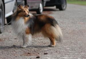 EMBARGO z Ďáblovy studánky