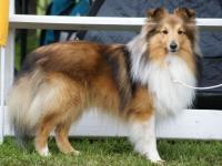 EMBARGO z Ďáblovy studánky