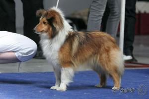 ENJOY GOLD Ria-Henria