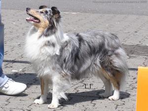 Enny Keep Smiling z Heřmanova dvora