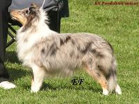 Enny Keep Smiling z Heřmanova dvora