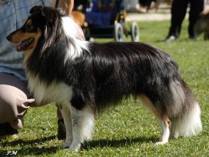 ESO z Josefovské pevnosti