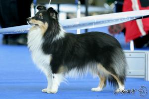 EUFORIE z Ďáblovy studánky