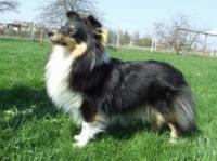 EUFORIE z Ďáblovy studánky