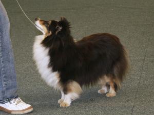 Extáze z Ďáblovy studánky